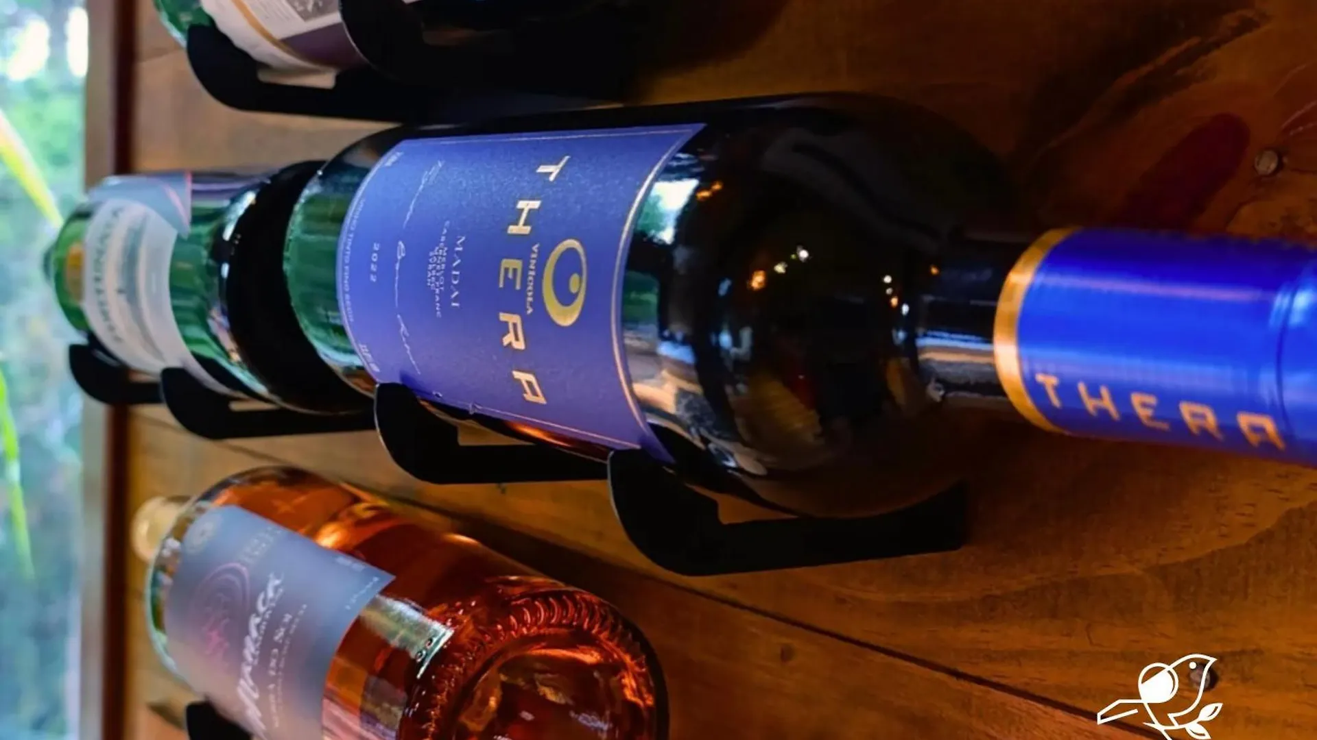 Chale Na Pousada Eco Das Aves Proximo A Vinicola Thera Bom Retiro